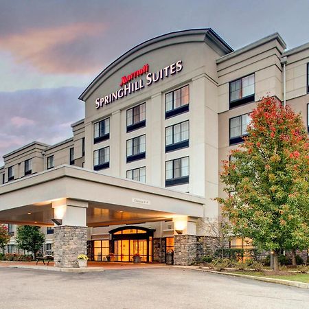 Springhill Suites By Marriott Wheeling Triadelphia Area Ngoại thất bức ảnh