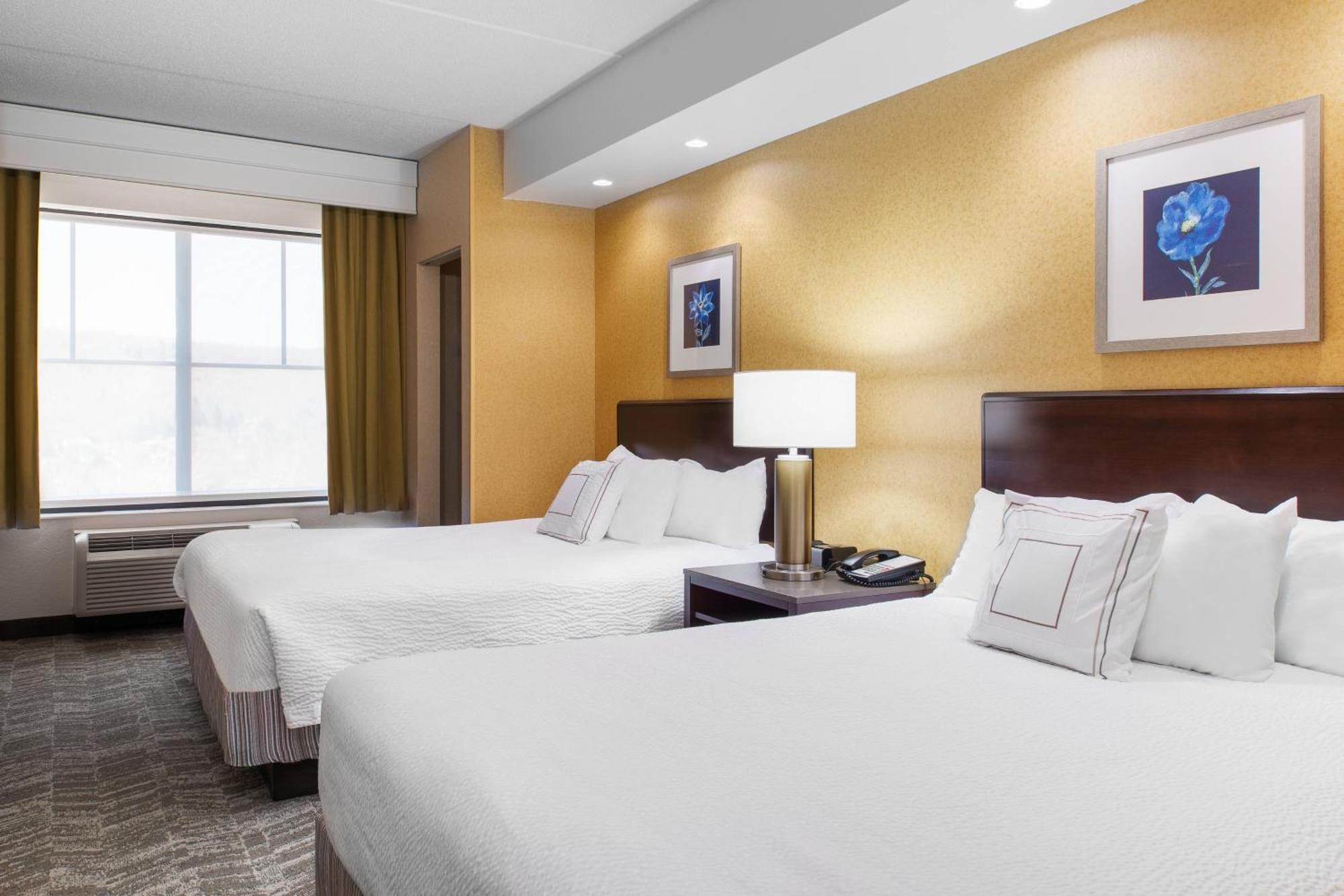 Springhill Suites By Marriott Wheeling Triadelphia Area Ngoại thất bức ảnh