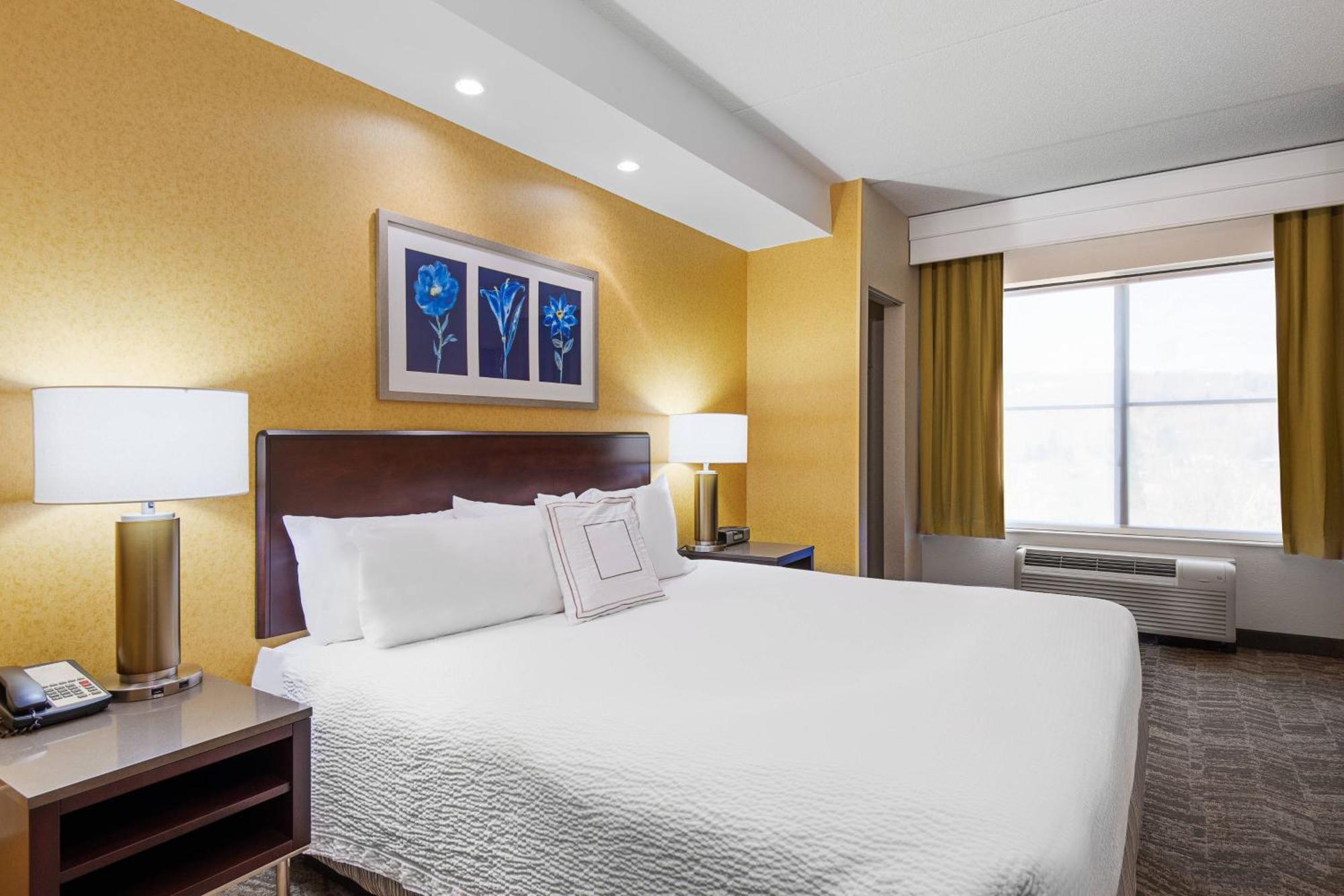 Springhill Suites By Marriott Wheeling Triadelphia Area Ngoại thất bức ảnh