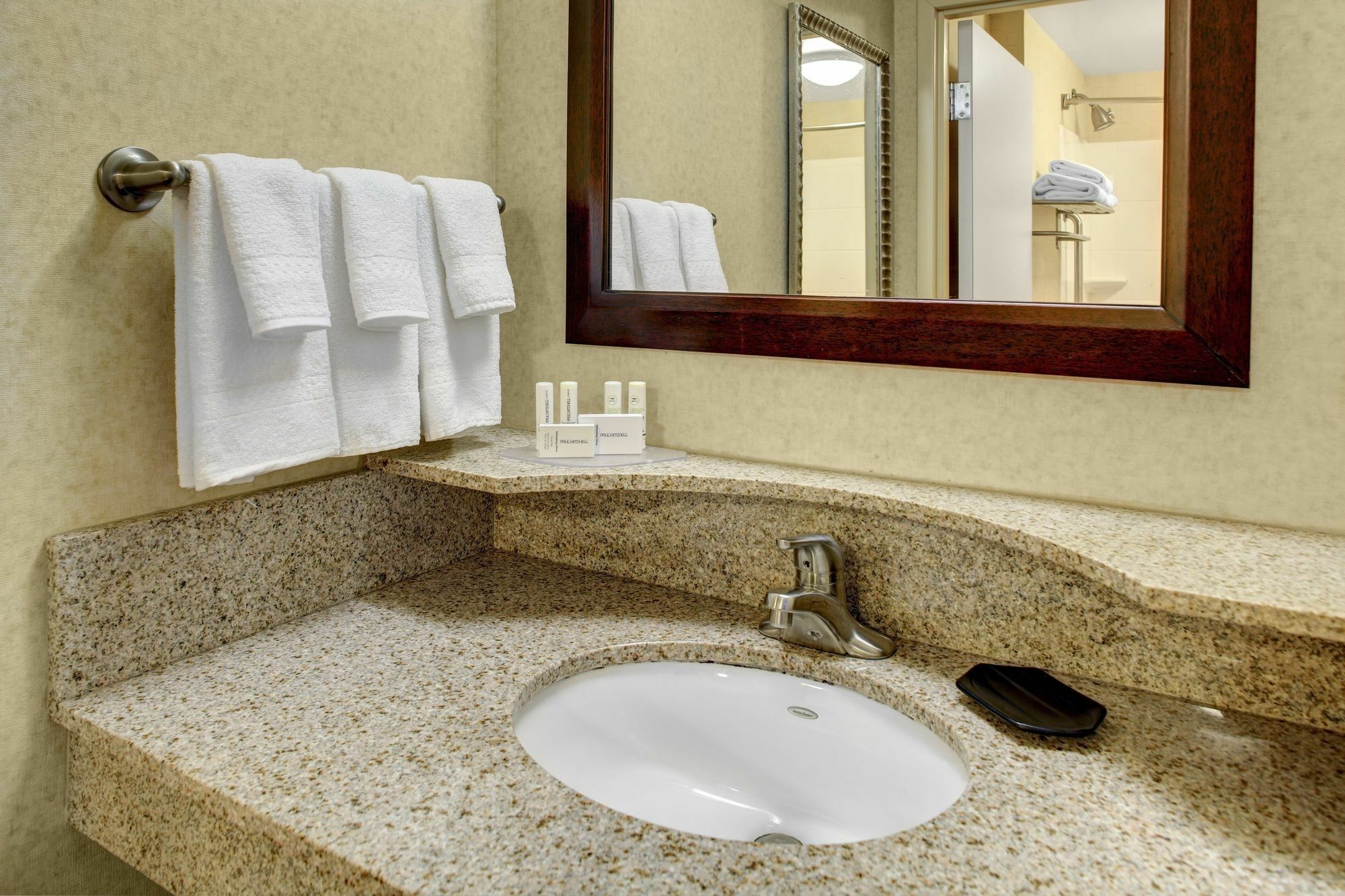 Springhill Suites By Marriott Wheeling Triadelphia Area Ngoại thất bức ảnh